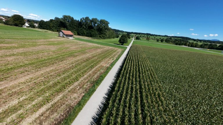 Felder im Oberland aus der Luft