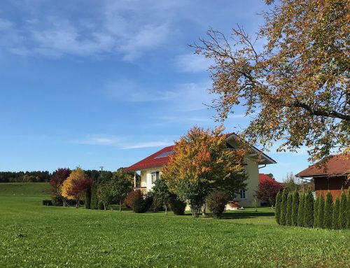 Was ein Energieausweis wirklich aussagt – und was Käufer daraus lesen